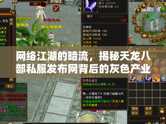 网络江湖的暗流，揭秘天龙八部私服发布网背后的灰色产业链