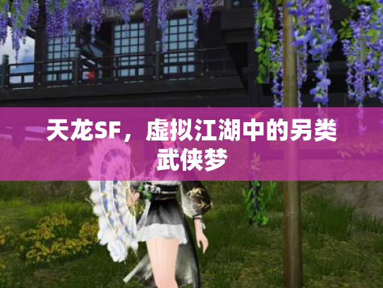 天龙SF，虚拟江湖中的另类武侠梦