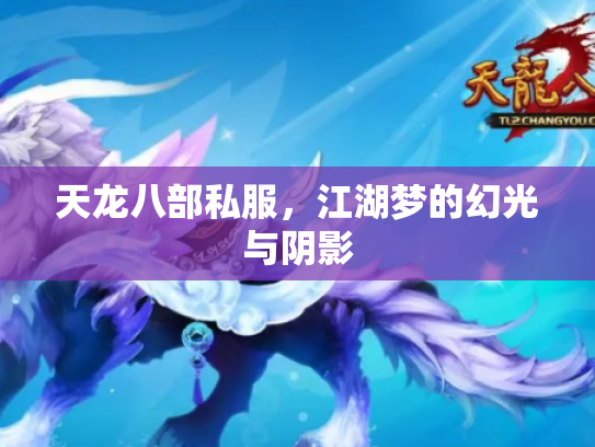 天龙八部私服，江湖梦的幻光与阴影