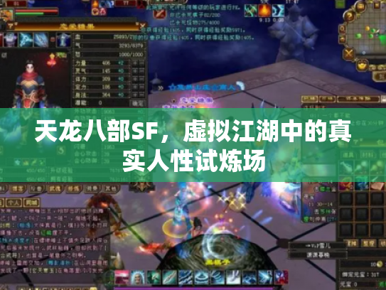天龙八部SF，虚拟江湖中的真实人性试炼场