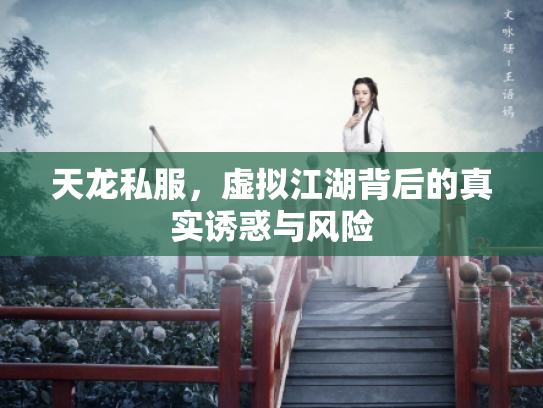 天龙私服，虚拟江湖背后的真实诱惑与风险