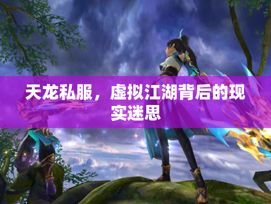 天龙私服，虚拟江湖背后的现实迷思