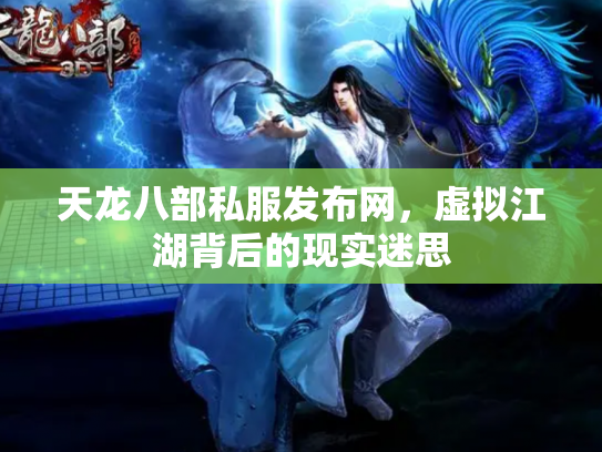 天龙八部私服发布网，虚拟江湖背后的现实迷思