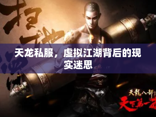 天龙私服，虚拟江湖背后的现实迷思