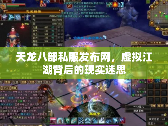 天龙八部私服发布网，虚拟江湖背后的现实迷思