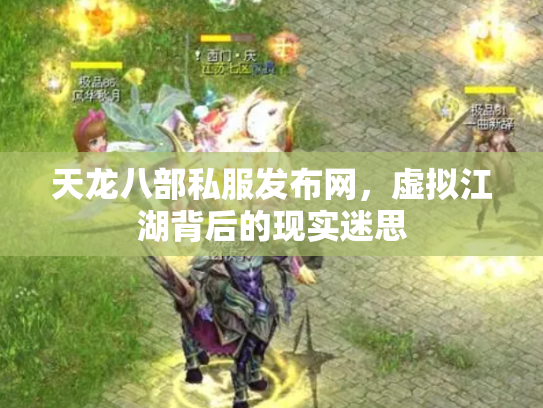 天龙八部私服发布网，虚拟江湖背后的现实迷思