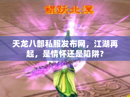 天龙八部私服发布网，江湖再起，是情怀还是陷阱？