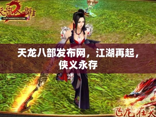 天龙八部发布网，江湖再起，侠义永存