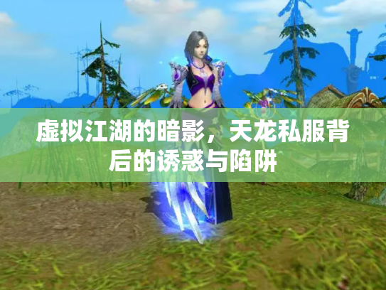 虚拟江湖的暗影，天龙私服背后的诱惑与陷阱