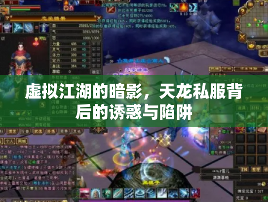 虚拟江湖的暗影，天龙私服背后的诱惑与陷阱