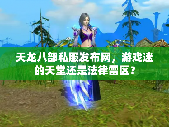 天龙八部私服发布网，游戏迷的天堂还是法律雷区？