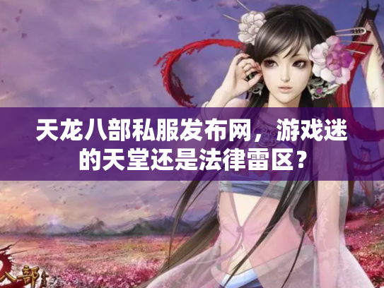 天龙八部私服发布网，游戏迷的天堂还是法律雷区？