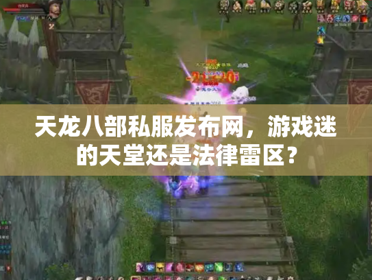 天龙八部私服发布网，游戏迷的天堂还是法律雷区？