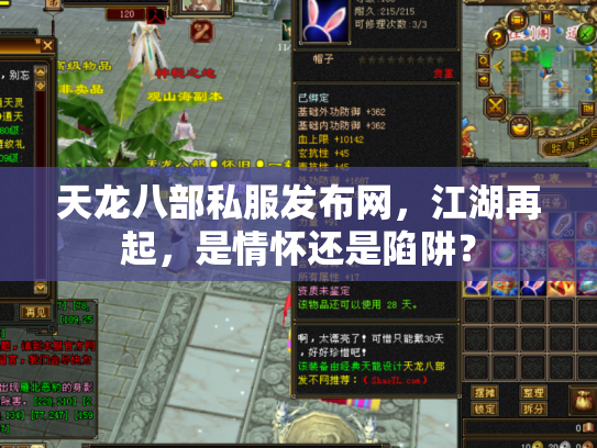 天龙八部私服发布网，江湖再起，是情怀还是陷阱？