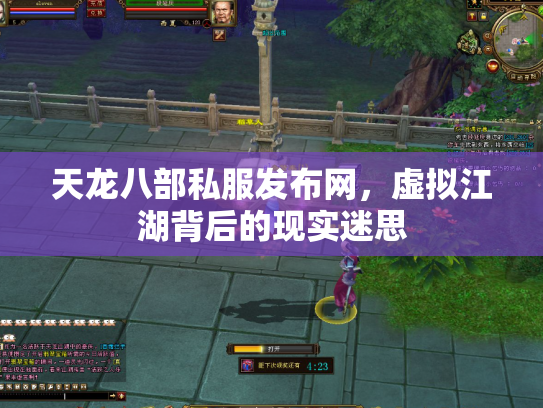 天龙八部私服发布网，虚拟江湖背后的现实迷思
