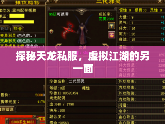 探秘天龙私服，虚拟江湖的另一面