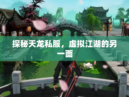 探秘天龙私服，虚拟江湖的另一面