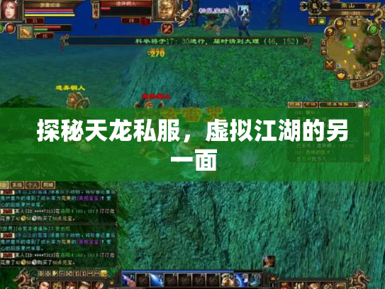 探秘天龙私服，虚拟江湖的另一面