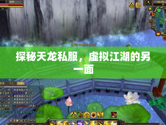 探秘天龙私服，虚拟江湖的另一面