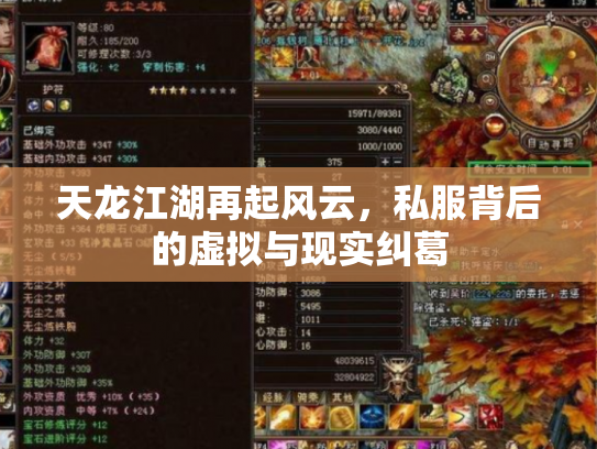 天龙江湖再起风云，私服背后的虚拟与现实纠葛