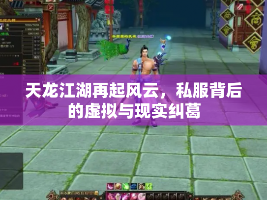天龙江湖再起风云，私服背后的虚拟与现实纠葛