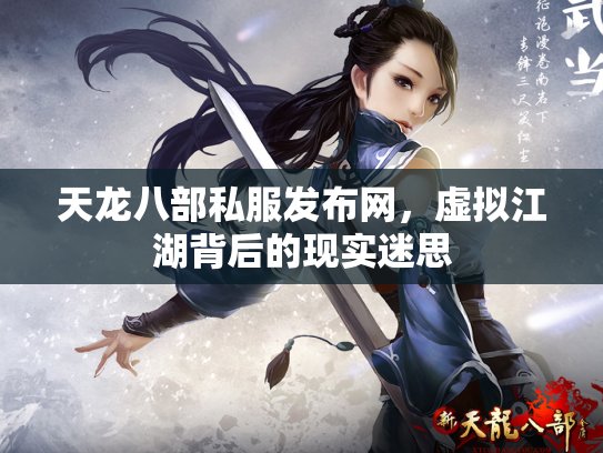 天龙八部私服发布网，虚拟江湖背后的现实迷思