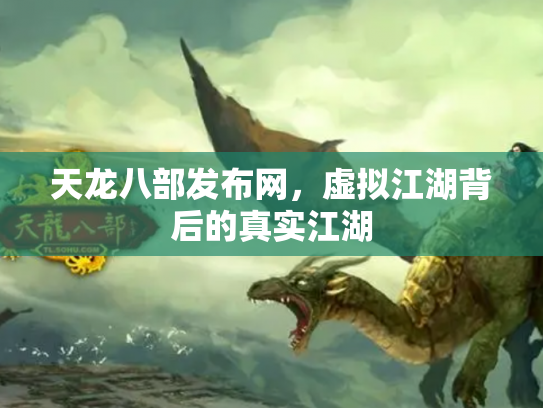 天龙八部发布网，虚拟江湖背后的真实江湖