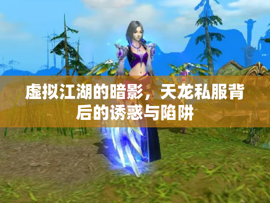 虚拟江湖的暗影，天龙私服背后的诱惑与陷阱