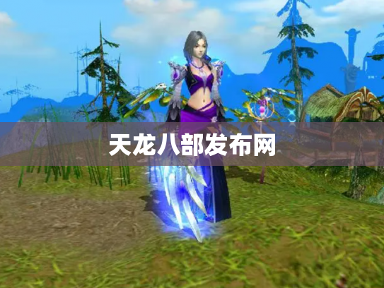 天龙八部发布网