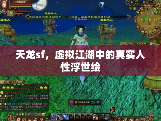 天龙sf，虚拟江湖中的真实人性浮世绘