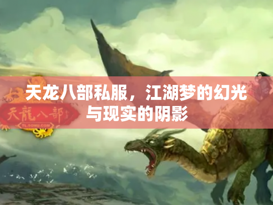 天龙八部私服，江湖梦的幻光与现实的阴影