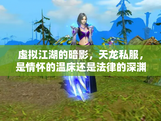 虚拟江湖的暗影，天龙私服，是情怀的温床还是法律的深渊？