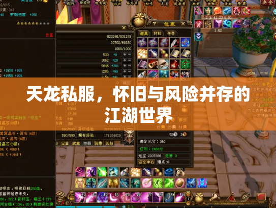 天龙私服，怀旧与风险并存的江湖世界