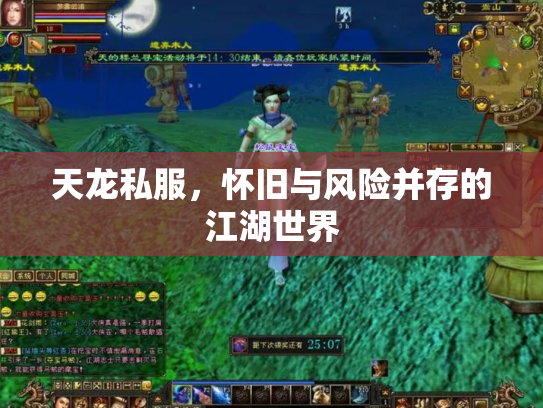 天龙私服，怀旧与风险并存的江湖世界
