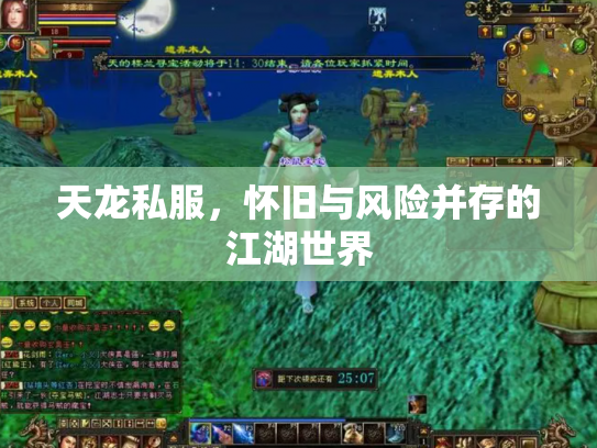 天龙私服，怀旧与风险并存的江湖世界