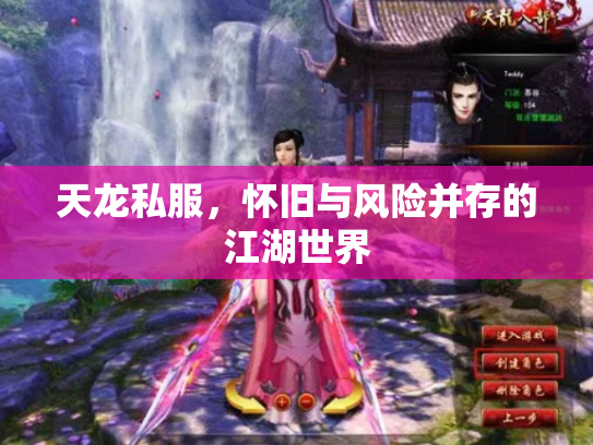 天龙私服，怀旧与风险并存的江湖世界