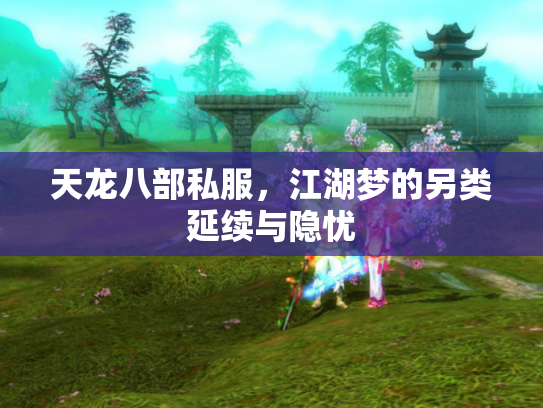 天龙八部私服，江湖梦的另类延续与隐忧