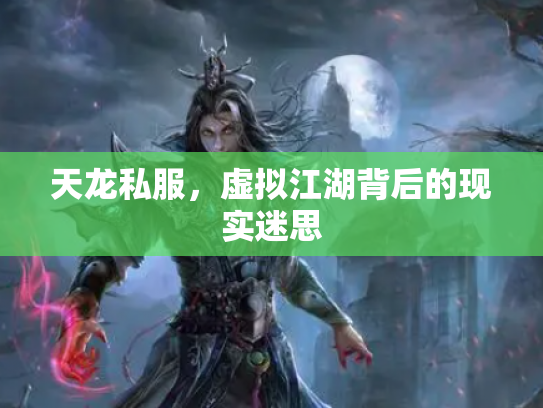 天龙私服，虚拟江湖背后的现实迷思