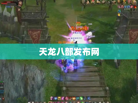 天龙八部发布网