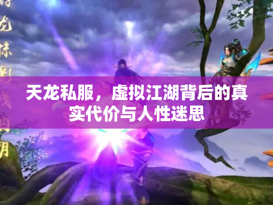 天龙私服，虚拟江湖背后的真实代价与人性迷思