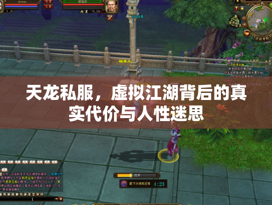 天龙私服，虚拟江湖背后的真实代价与人性迷思