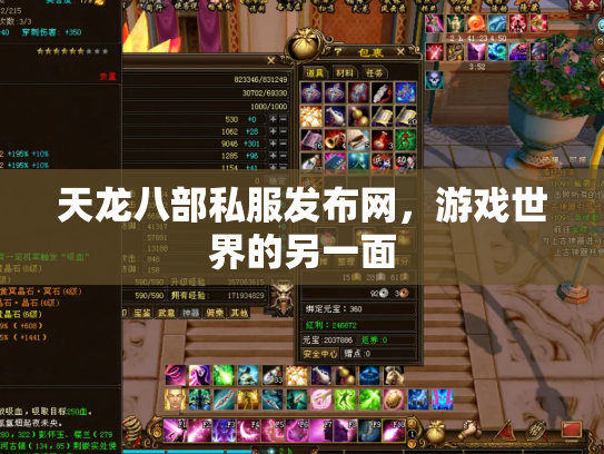 天龙八部私服发布网，游戏世界的另一面