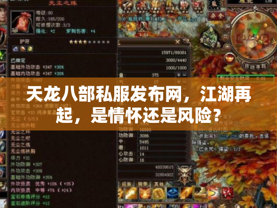 天龙八部私服发布网，江湖再起，是情怀还是风险？