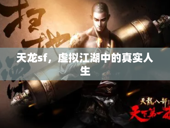 天龙sf，虚拟江湖中的真实人生