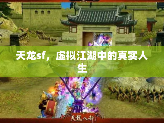 天龙sf，虚拟江湖中的真实人生