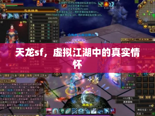天龙sf，虚拟江湖中的真实情怀