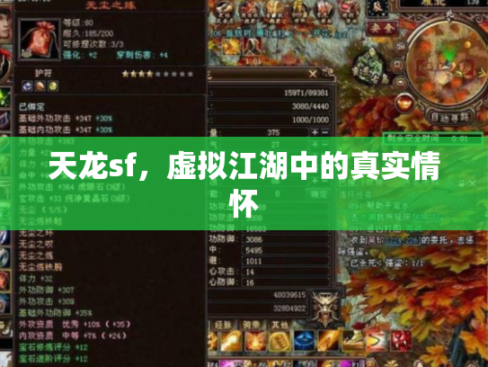 天龙sf，虚拟江湖中的真实情怀