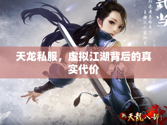天龙私服，虚拟江湖背后的真实代价