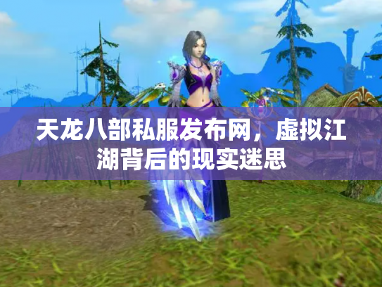 天龙八部私服发布网，虚拟江湖背后的现实迷思