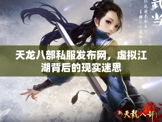 天龙八部私服发布网，虚拟江湖背后的现实迷思